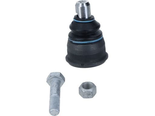 Sworzeń Wahacza 10726 02