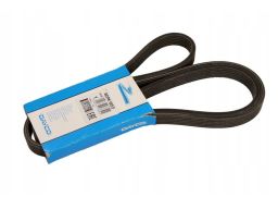 Pasek Wieloklinowy 6Dpk1853