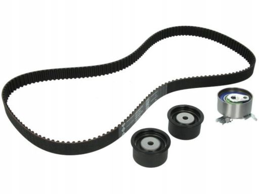 Zestaw Paska Rozrządu 530 0049 10