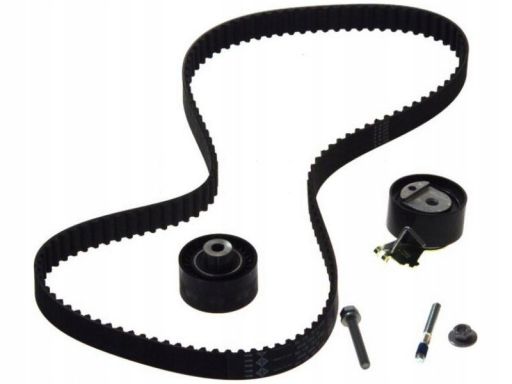 Zestaw Paska Rozrządu 530 0419 10