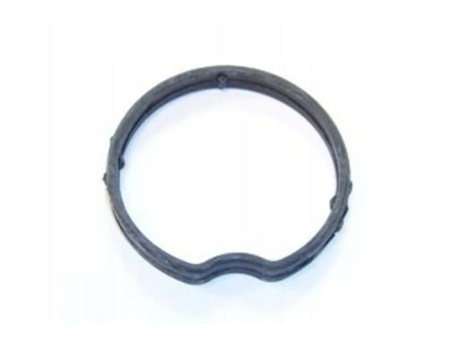 Uszczelka Obudowy Termostatu 027440