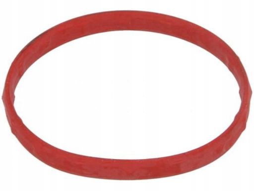 Uszczelka Termostatu 306.360