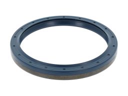 Uszczelniacz Wałka Manualnej Skrzyni Bie 12017121B