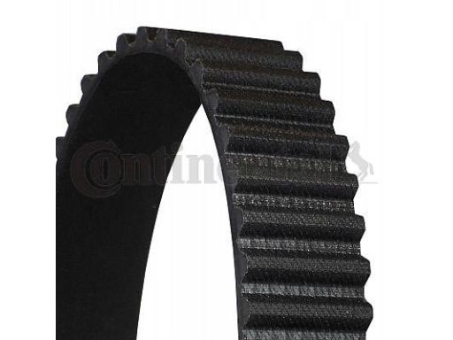 Pasek Rozrządu Ct539