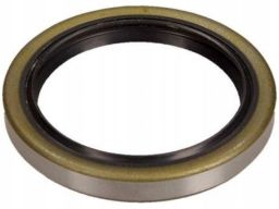 Uszczelniacz Piasty Koła 19019080B