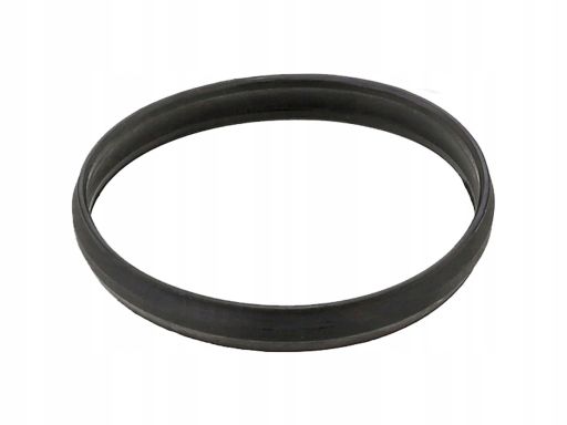 Uszczelka Napinacza Łańcucha Rozrządu 689.350