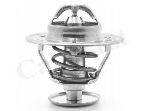 Termostat Środka Chłodzącego Th1419.82J