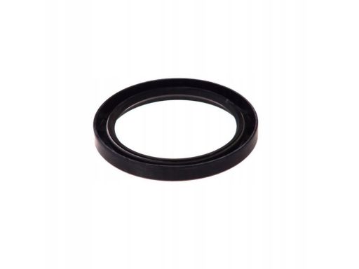 Uszczelniacz Piasty Koła 19034440B