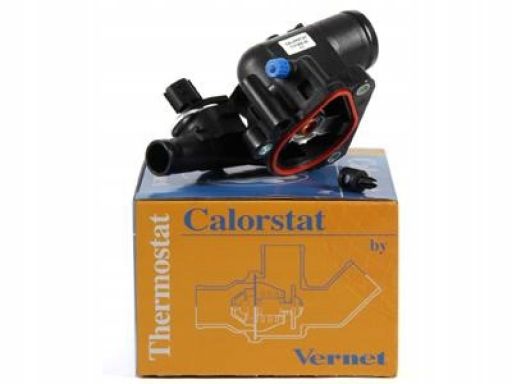 Termostat Środka Chłodzącego Th7069.89J