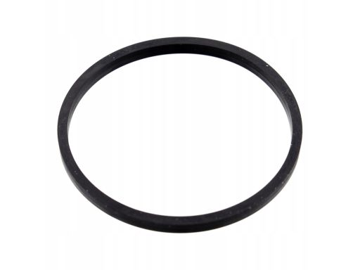 Uszczelka Termostatu 100055