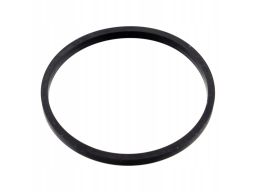 Uszczelka Termostatu 100055