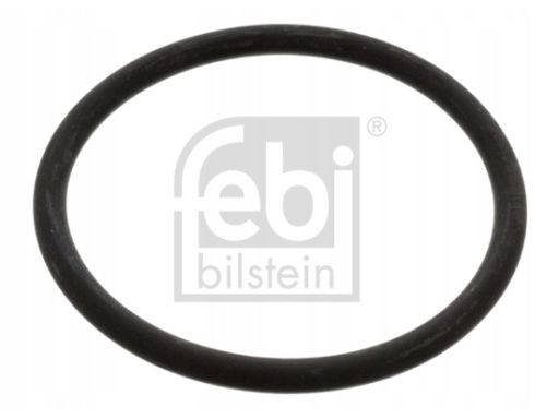 Uszczelka Termostatu 17966