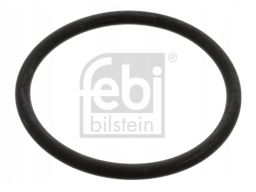 Uszczelka Termostatu 17966