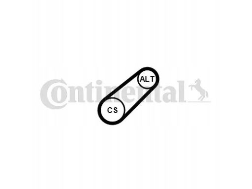 Pasek Wieloklinowy 6Pk799 Elast