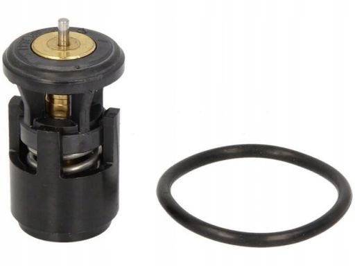 Termostat Środka Chłodzącego Tx 41 87D