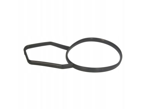 Uszczelka Termostatu 362.150