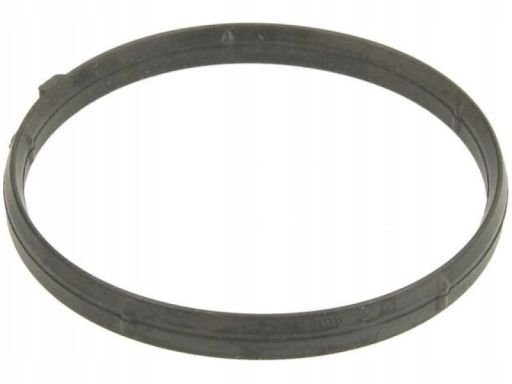 Uszczelka Termostatu 690.710