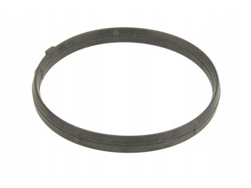 Uszczelka Termostatu 690.710