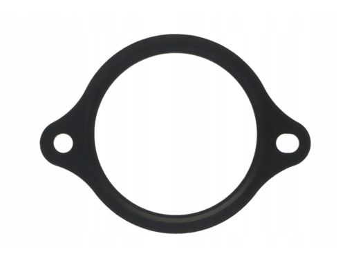 Uszczelka Termostatu 876.140