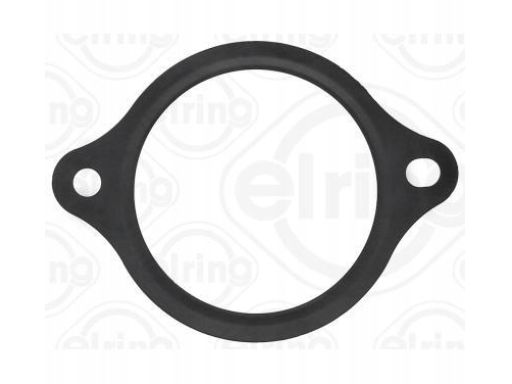 Uszczelka Termostatu 876.140