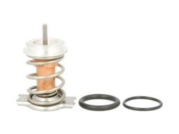 Korpus Termostatu D28001Tt