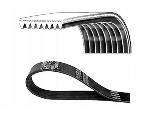 Pasek Wieloklinowy 8Pk1230Hd