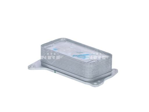 Chłodnica Oleju 31282