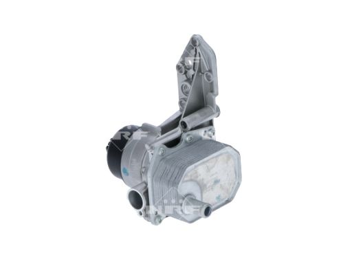 Chłodnica Oleju 31309