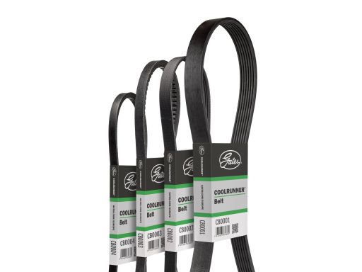 Pasek Wieloklinowy Cb0009