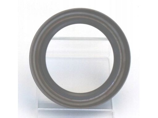 Uszczelniacz Wałka Manualnej Skrzyni Bie 19033949B