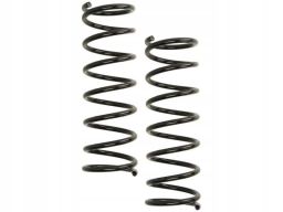 Sprężyna Zawieszenia Ra5629