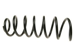 Sprężyna Zawieszenia Ra6110