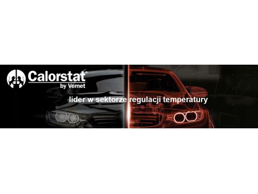 Termostat Środka Chłodzącego Te6975.105J