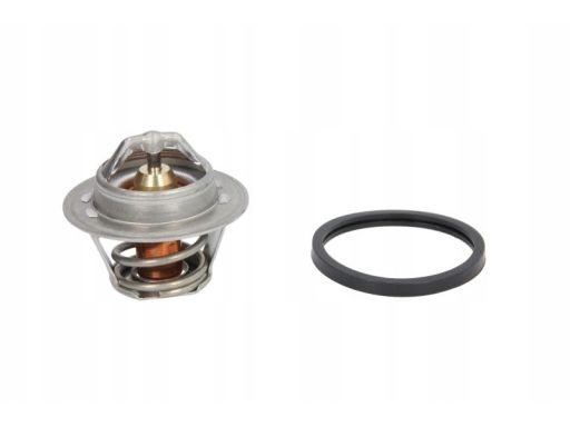 Termostat Środka Chłodzącego Th4898.87J