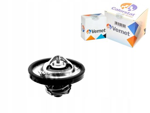 Termostat Środka Chłodzącego Th6837.74J