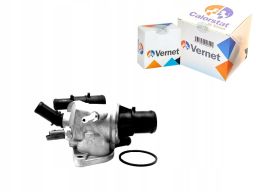 Termostat Środka Chłodzącego Th6869.88J