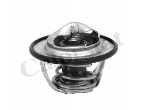 Termostat Środka Chłodzącego Th7130.82J