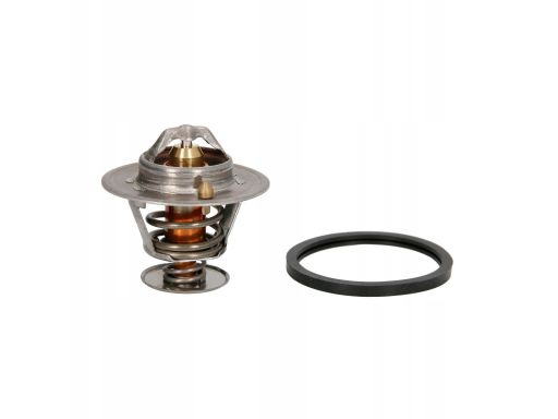 Termostat Środka Chłodzącego Th7341.82J