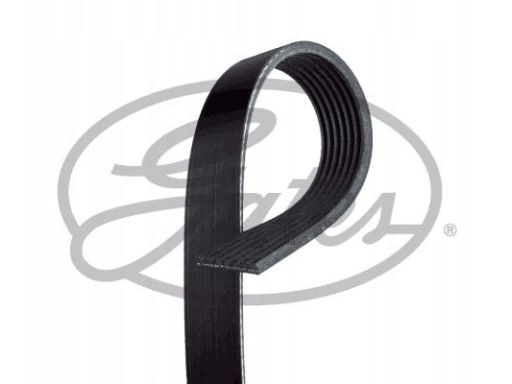 Pasek Wieloklinowy 7Pk1165Sf