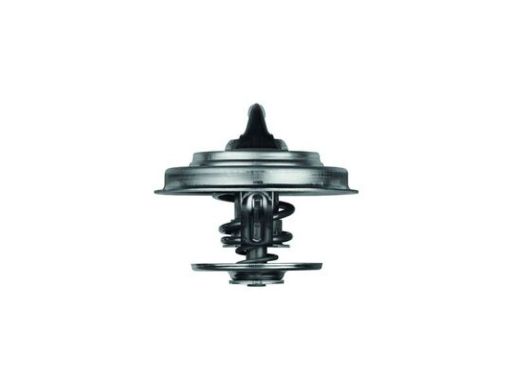 Termostat Środka Chłodzącego Tx 18 79D