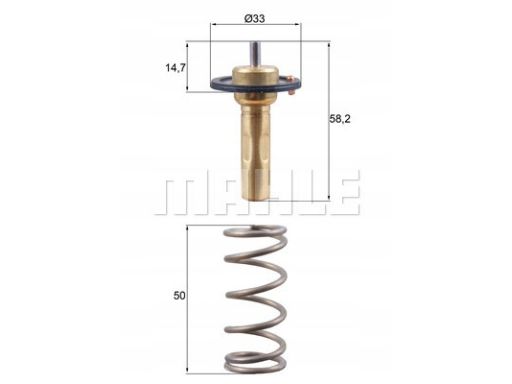 Termostat Środka Chłodzącego Tx 265 89D