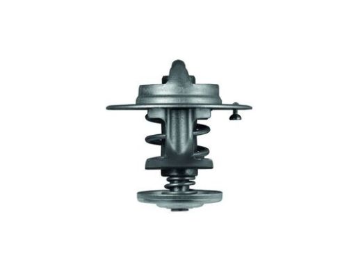 Termostat Środka Chłodzącego Tx 80 83