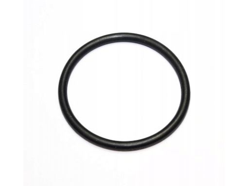 Uszczelka Obudowy Termostatu 894.100