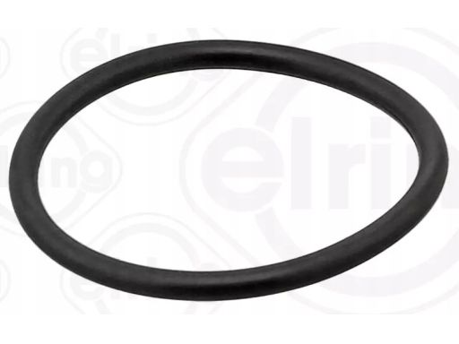 Uszczelka Obudowy Termostatu 894.100