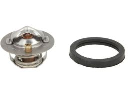 Termostat Środka Chłodzącego D2G005Tt