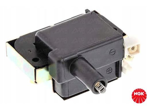 Cewka Zapłonowa 48054