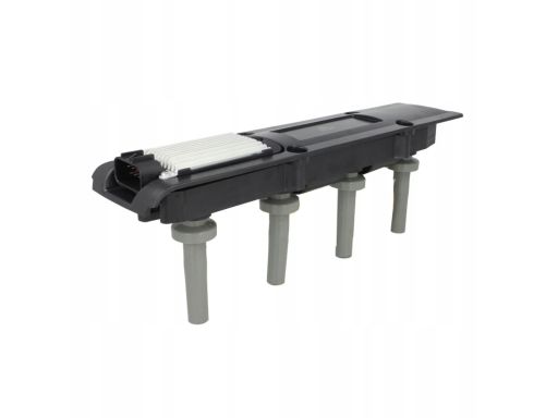 Cewka Zapłonowa 48146