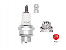 Świeca Zapłonowa 5921