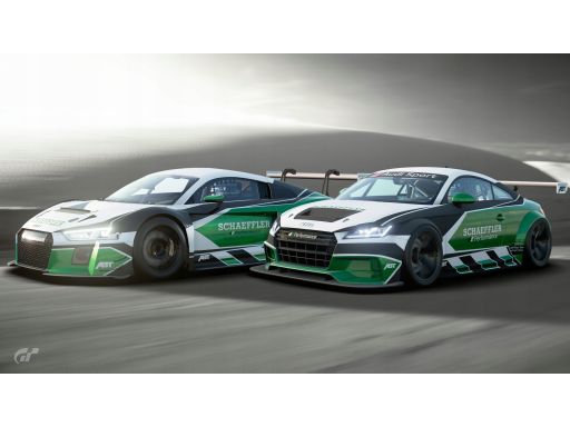 Tłumik Drgań Paska Wieloklinowego 533 0112 10