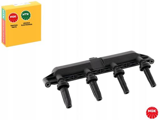 Cewka Zapłonowa 48023